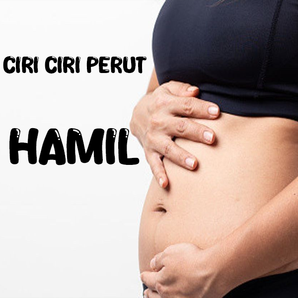 Ciri Ciri Perut Hamil Yang Perlu Di Ketahuin 2024