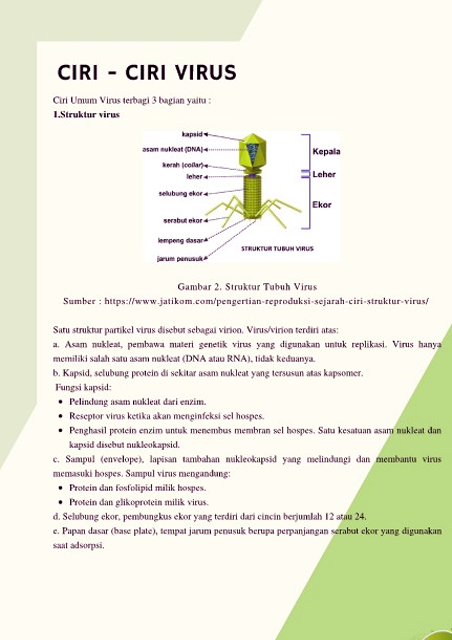 Ciri Ciri Virus Yang Wajib Diketahuin 2024